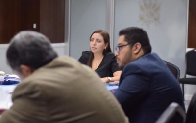 Reunión con Distintos Sectores para Revisar la Iniciativa de Ley de Paternidad Responsable, Activa y Positiva