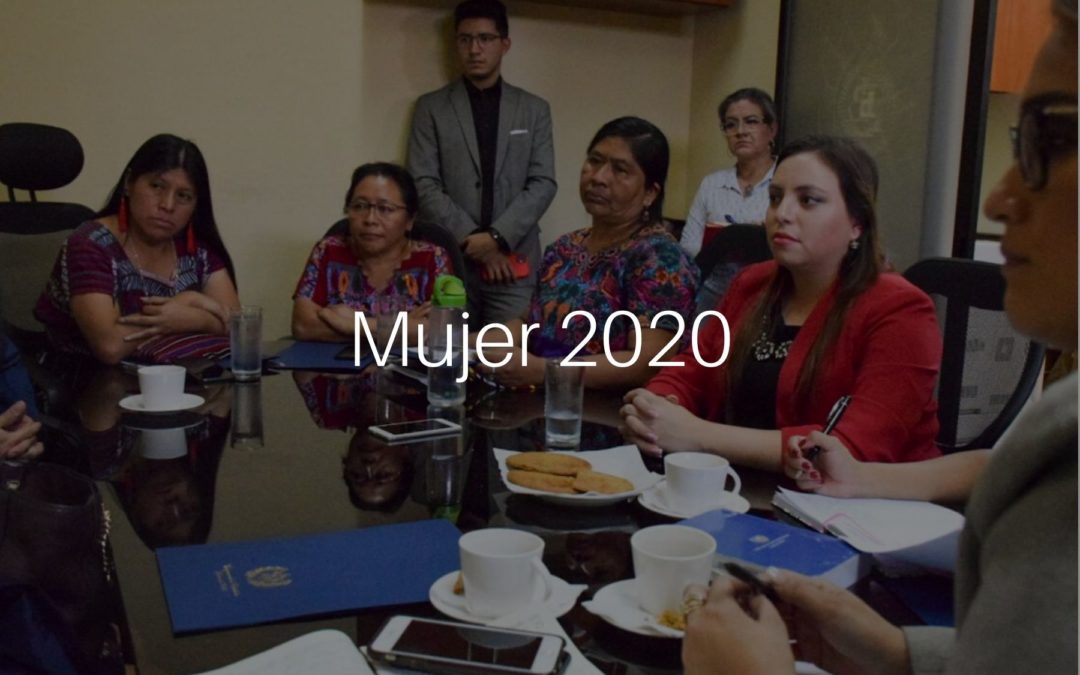 Informe Comisión de la Mujer 2020