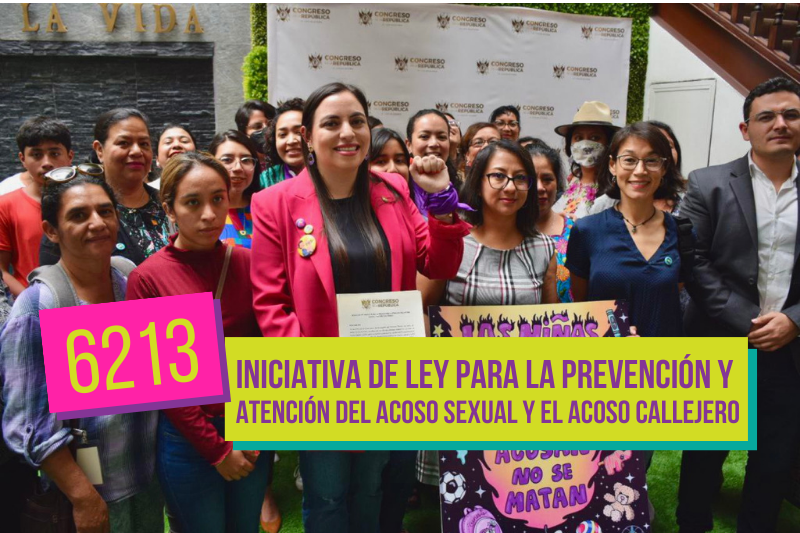 Iniciativa 6213, Ley para la prevención y atención del acoso sexual y acoso callejero